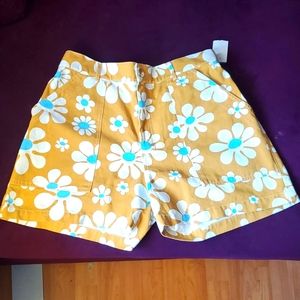 Big Bud Press Lazy Daisy Shorts Large